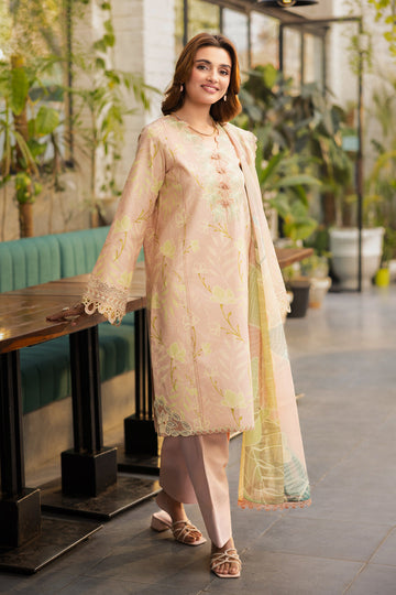 Rang Rasiya Ivy Online Shopping